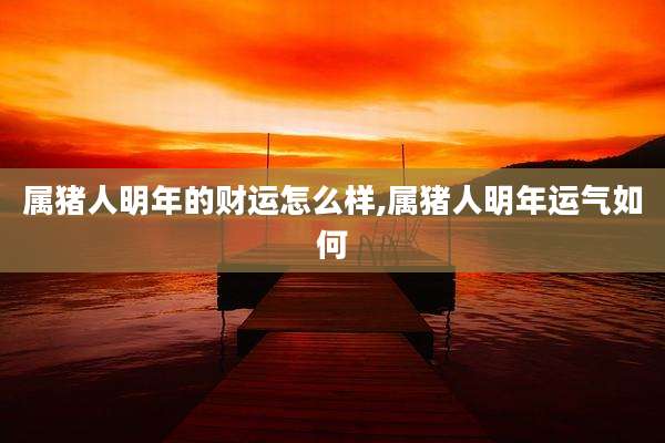 属猪人明年的财运怎么样,属猪人明年运气如何