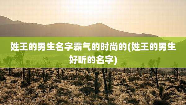 姓王的男生名字霸气的时尚的(姓王的男生好听的名字)