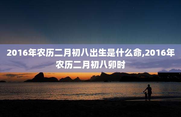 2016年农历二月初八出生是什么命,2016年农历二月初八卯时