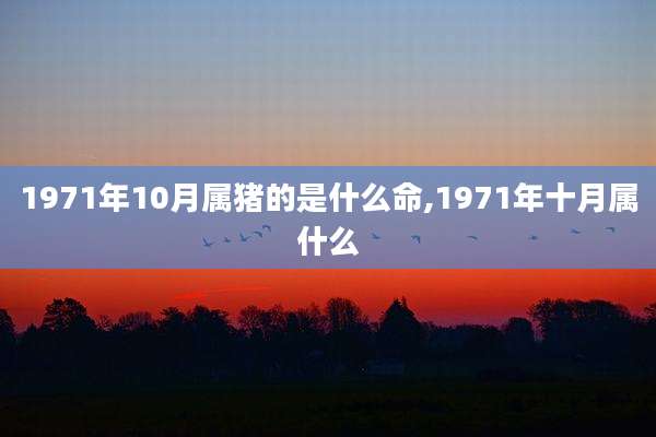 1971年10月属猪的是什么命,1971年十月属什么