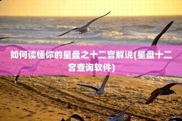 如何读懂你的星盘之十二宫解说(星盘十二宫查询软件)