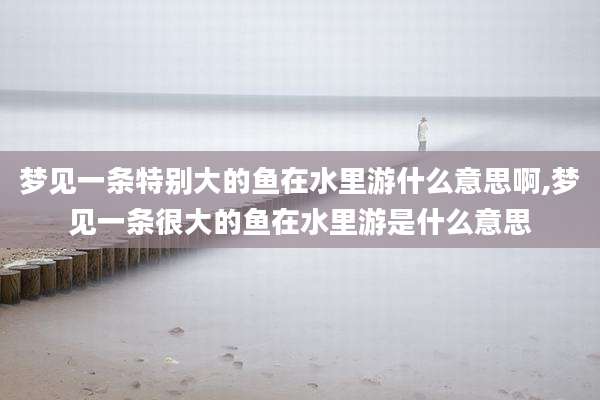 梦见一条特别大的鱼在水里游什么意思啊,梦见一条很大的鱼在水里游是什么意思