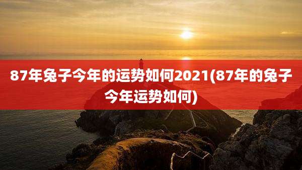 87年兔子今年的运势如何2021(87年的兔子今年运势如何)