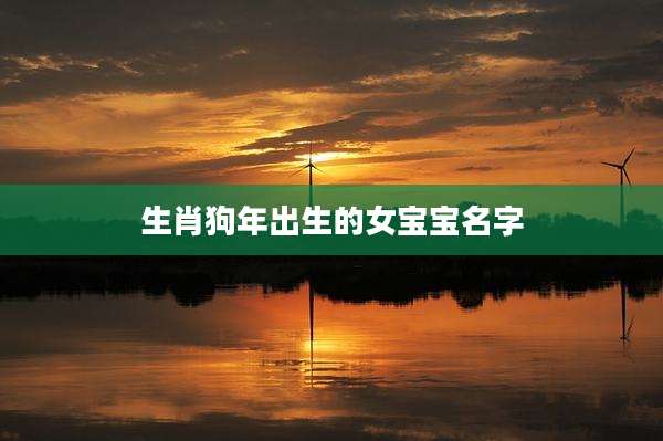 生肖狗年出生的女宝宝名字