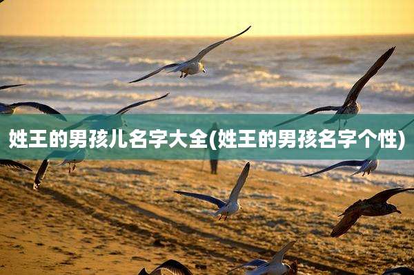 姓王的男孩儿名字大全(姓王的男孩名字个性)