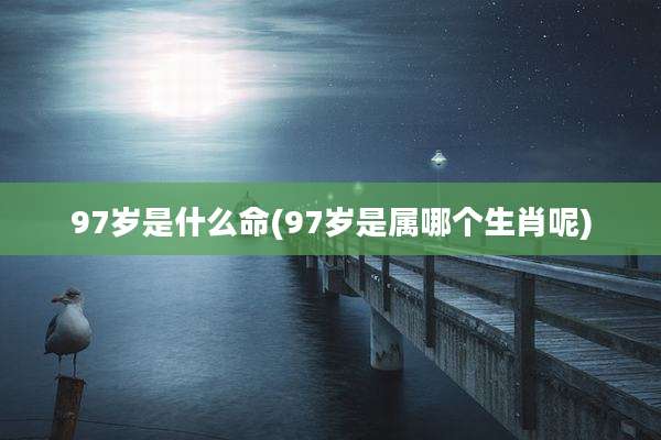 97岁是什么命(97岁是属哪个生肖呢)