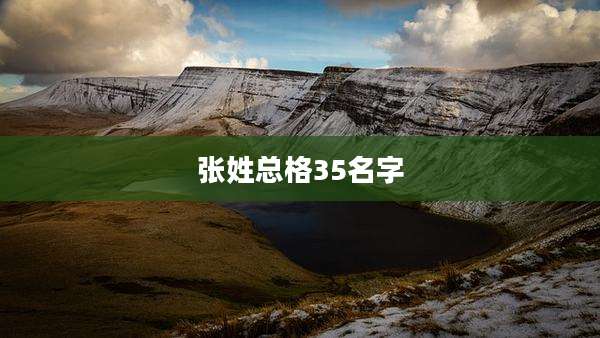 张姓总格35名字