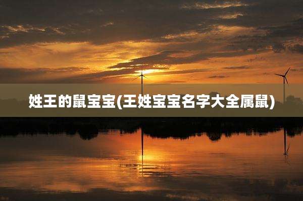 姓王的鼠宝宝(王姓宝宝名字大全属鼠)