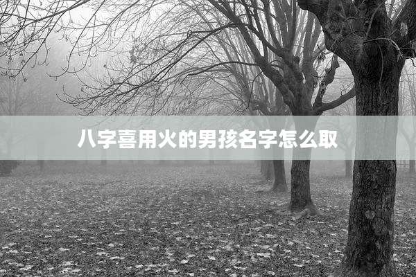 八字喜用火的男孩名字怎么取