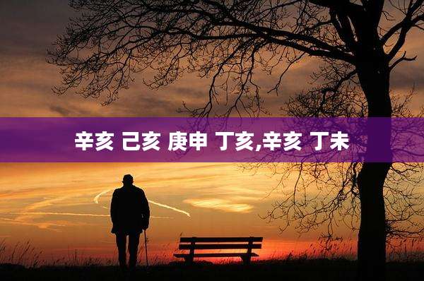 辛亥 己亥 庚申 丁亥,辛亥 丁未
