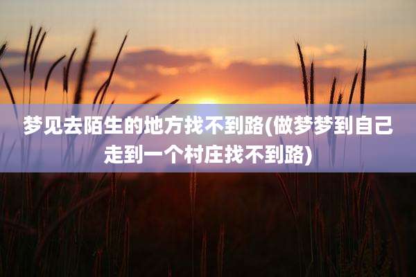 梦见去陌生的地方找不到路(做梦梦到自己走到一个村庄找不到路)
