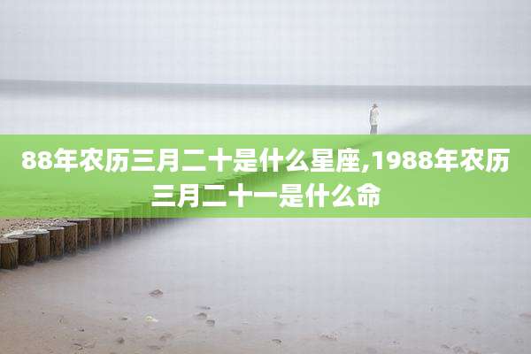 88年农历三月二十是什么星座,1988年农历三月二十一是什么命