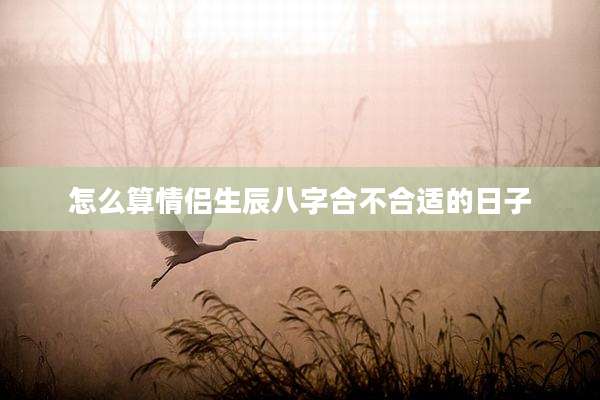 怎么算情侣生辰八字合不合适的日子