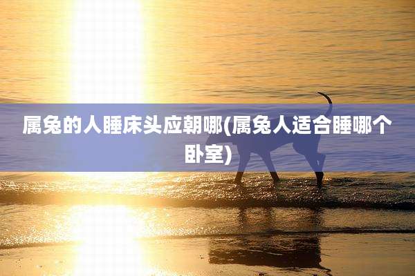 属兔的人睡床头应朝哪(属兔人适合睡哪个卧室)