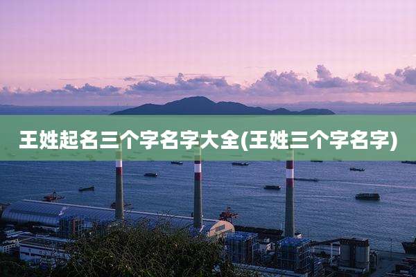 王姓起名三个字名字大全(王姓三个字名字)