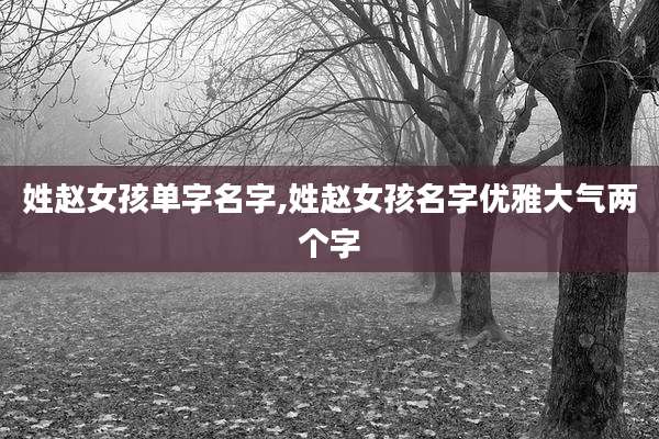 姓赵女孩单字名字,姓赵女孩名字优雅大气两个字
