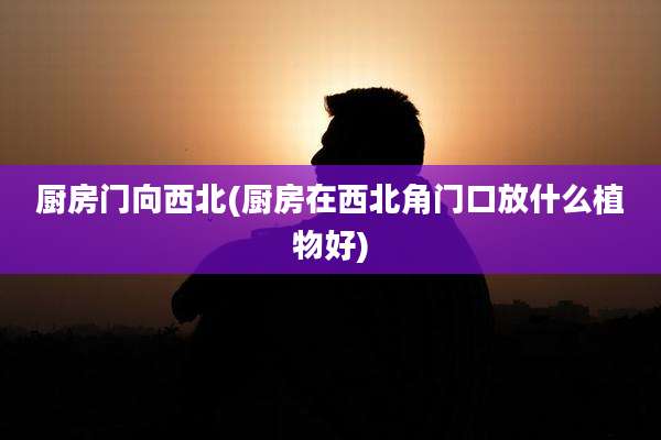 厨房门向西北(厨房在西北角门口放什么植物好)