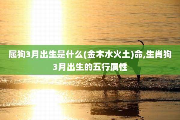 属狗3月出生是什么(金木水火土)命,生肖狗3月出生的五行属性