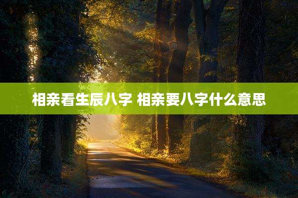 相亲看生辰八字 相亲要八字什么意思