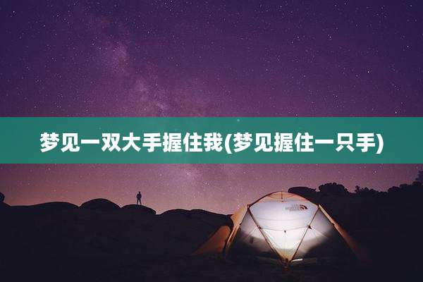梦见一双大手握住我(梦见握住一只手)