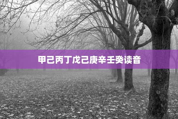 甲己丙丁戊己庚辛壬癸读音