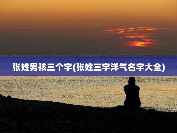 张姓男孩三个字(张姓三字洋气名字大全)