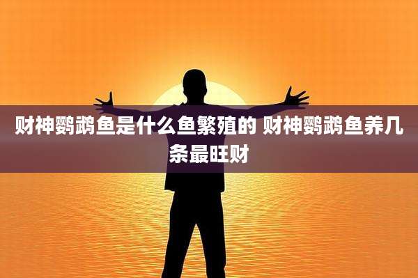 财神鹦鹉鱼是什么鱼繁殖的 财神鹦鹉鱼养几条最旺财