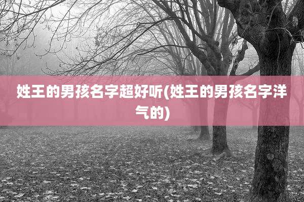 姓王的男孩名字超好听(姓王的男孩名字洋气的)