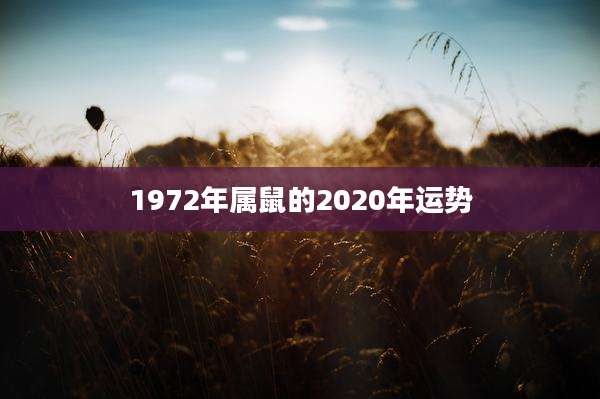 1972年属鼠的2020年运势