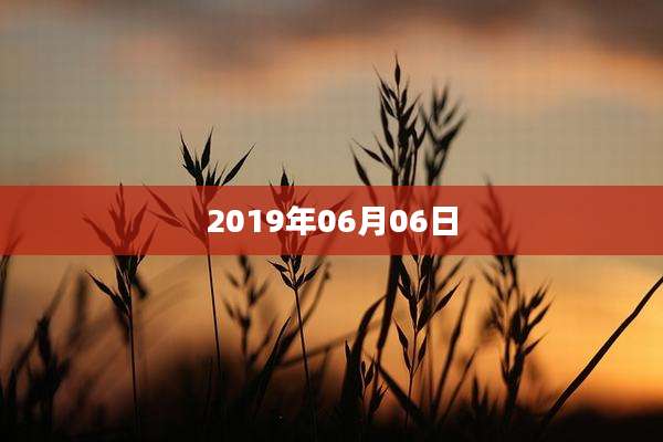 2019年06月06日