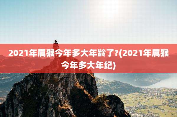2021年属猴今年多大年龄了?(2021年属猴今年多大年纪)