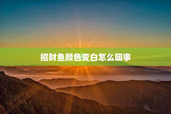 招财鱼颜色变白怎么回事