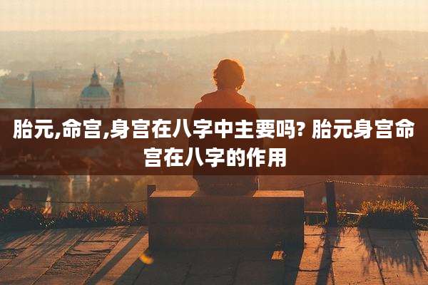 胎元,命宫,身宫在八字中主要吗? 胎元身宫命宫在八字的作用