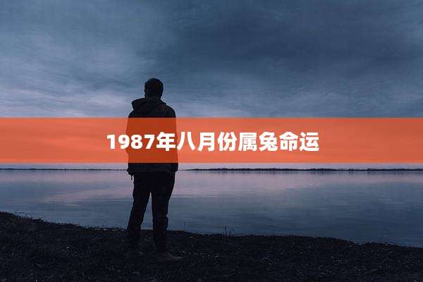 1987年八月份属兔命运