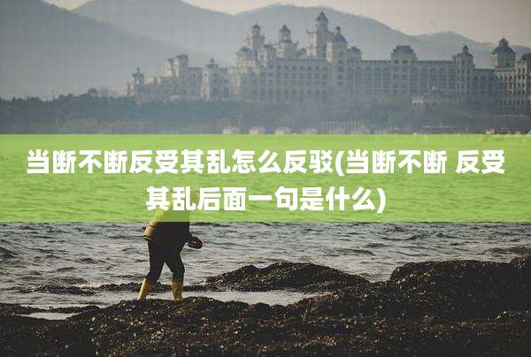 当断不断反受其乱怎么反驳(当断不断 反受其乱后面一句是什么)