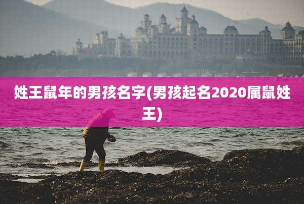 姓王鼠年的男孩名字(男孩起名2020属鼠姓王)
