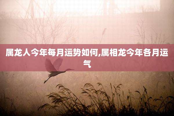属龙人今年每月运势如何,属相龙今年各月运气