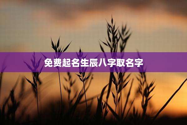 免费起名生辰八字取名字