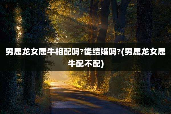 男属龙女属牛相配吗?能结婚吗?(男属龙女属牛配不配)