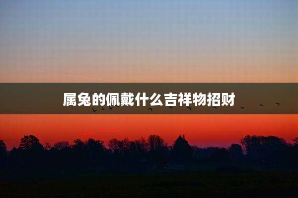 属兔的佩戴什么吉祥物招财