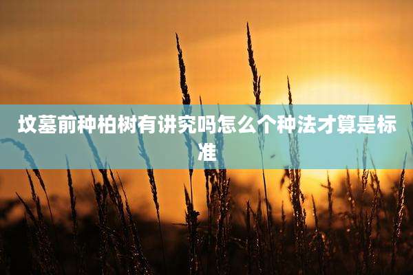 坟墓前种柏树有讲究吗怎么个种法才算是标准