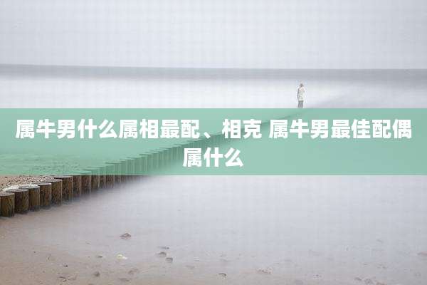 属牛男什么属相最配、相克 属牛男最佳配偶属什么