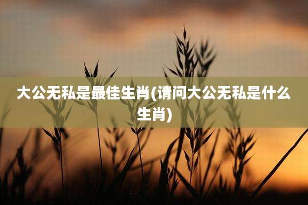 大公无私是最佳生肖(请问大公无私是什么生肖)