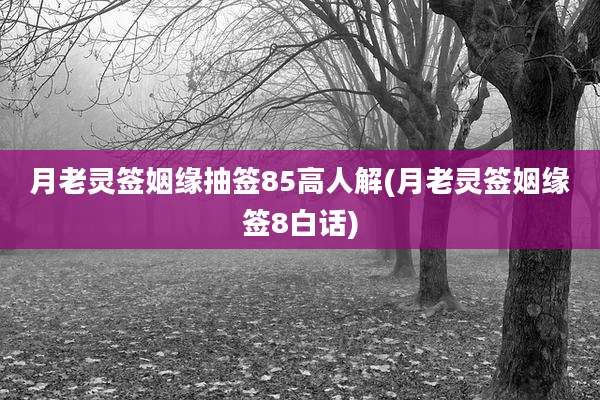 月老灵签姻缘抽签85高人解(月老灵签姻缘签8白话)