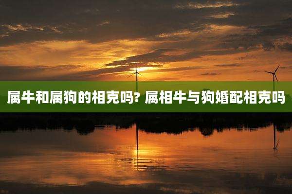 属牛和属狗的相克吗? 属相牛与狗婚配相克吗