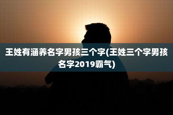 王姓有涵养名字男孩三个字(王姓三个字男孩名字2019霸气)