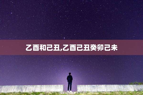 乙酉和己丑,乙酉己丑癸卯己未