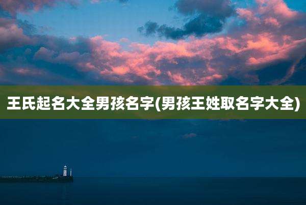 王氏起名大全男孩名字(男孩王姓取名字大全)