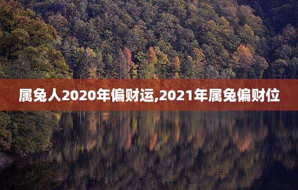 属兔人2020年偏财运,2021年属兔偏财位