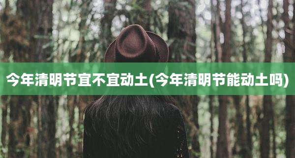 今年清明节宜不宜动土(今年清明节能动土吗)